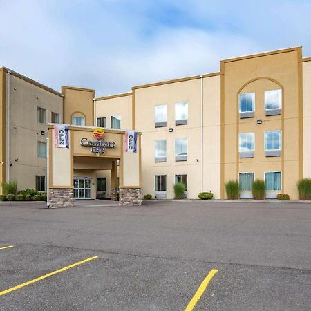 Comfort Inn Apalachin - Binghamton W Route 17 Dış mekan fotoğraf