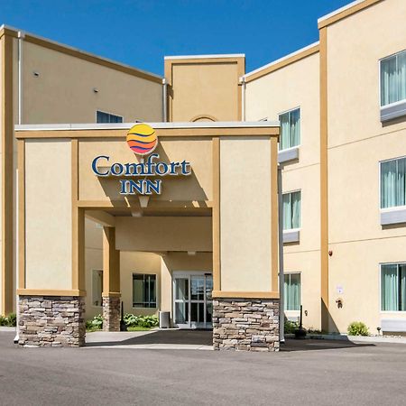Comfort Inn Apalachin - Binghamton W Route 17 Dış mekan fotoğraf