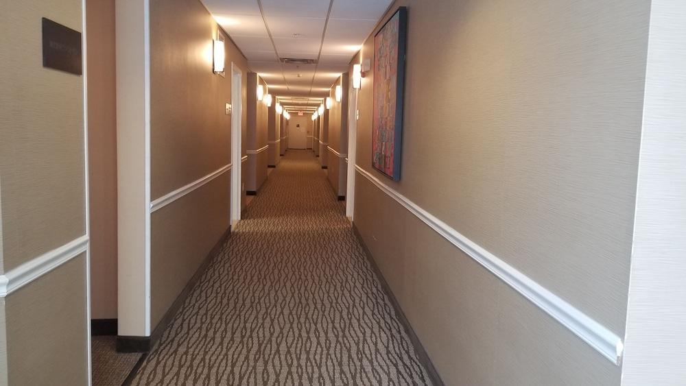 Comfort Inn Apalachin - Binghamton W Route 17 Dış mekan fotoğraf
