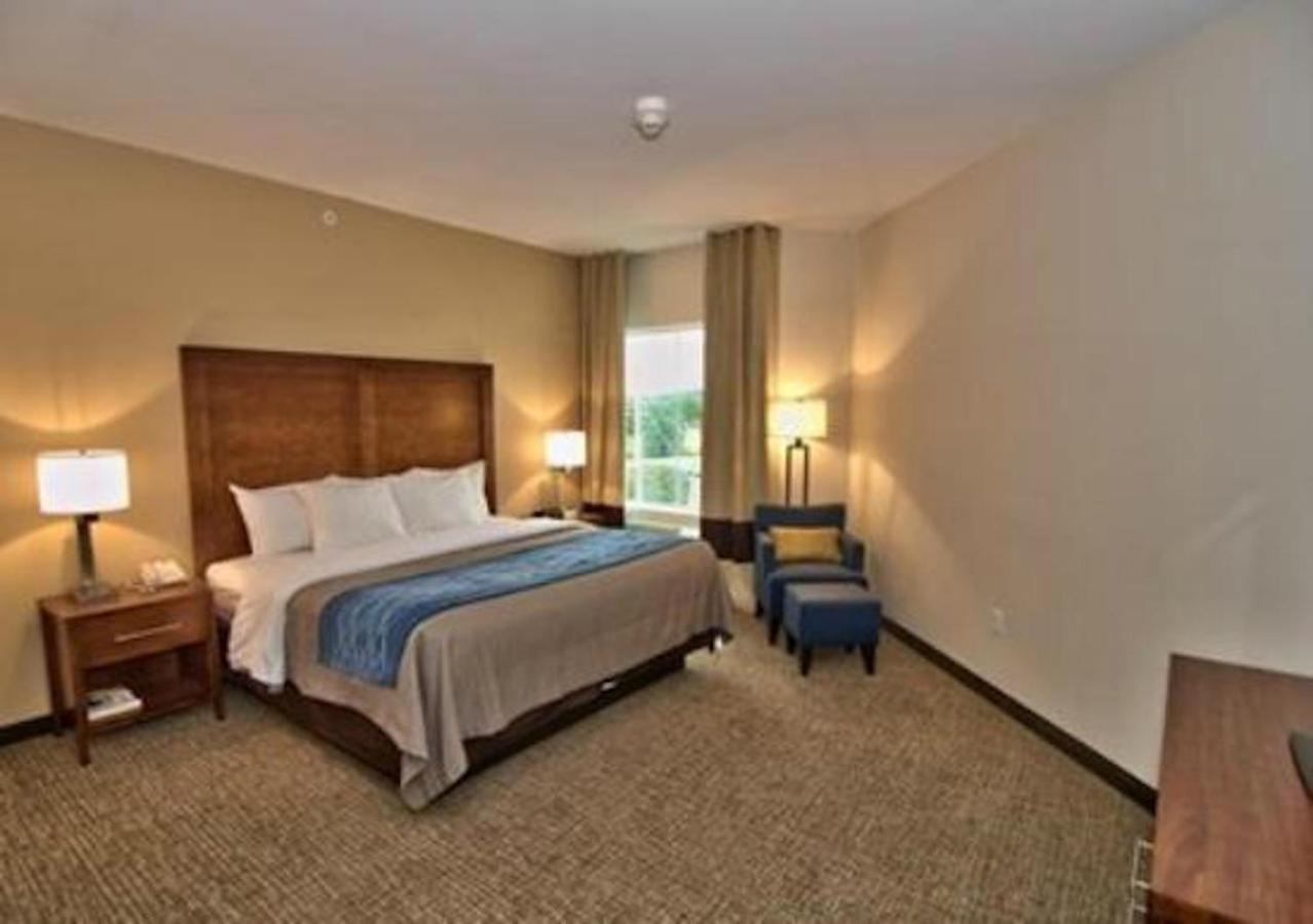 Comfort Inn Apalachin - Binghamton W Route 17 Dış mekan fotoğraf