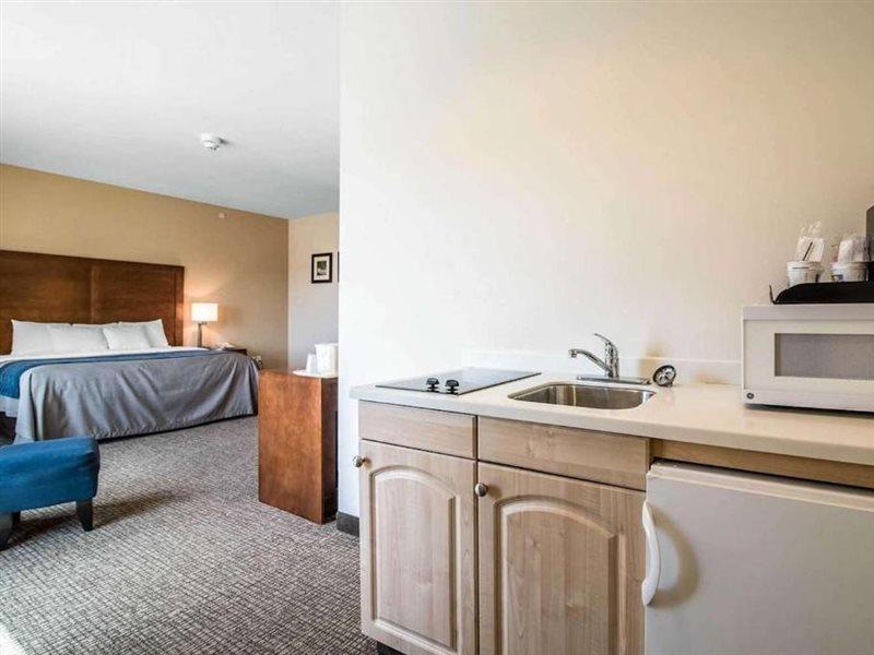 Comfort Inn Apalachin - Binghamton W Route 17 Dış mekan fotoğraf