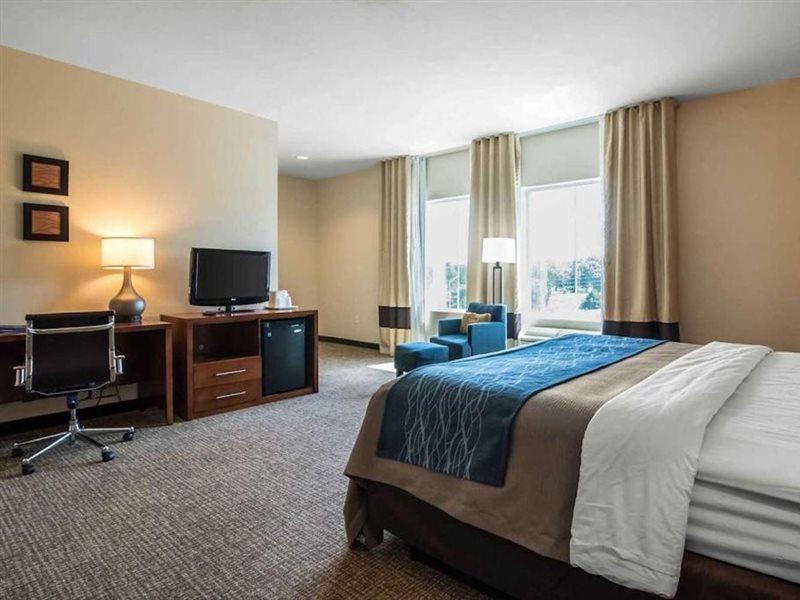 Comfort Inn Apalachin - Binghamton W Route 17 Dış mekan fotoğraf