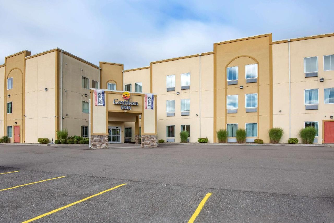 Comfort Inn Apalachin - Binghamton W Route 17 Dış mekan fotoğraf