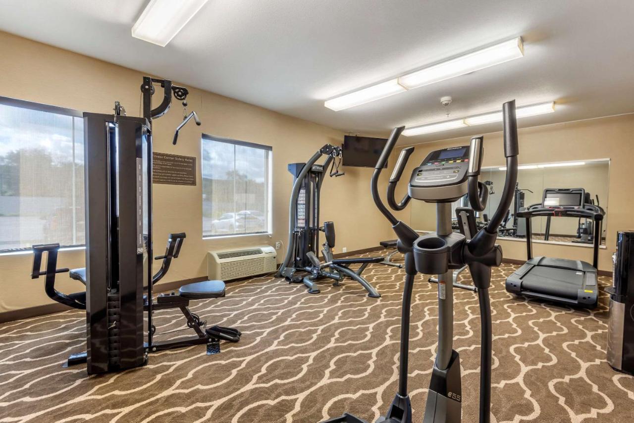 Comfort Inn Apalachin - Binghamton W Route 17 Dış mekan fotoğraf