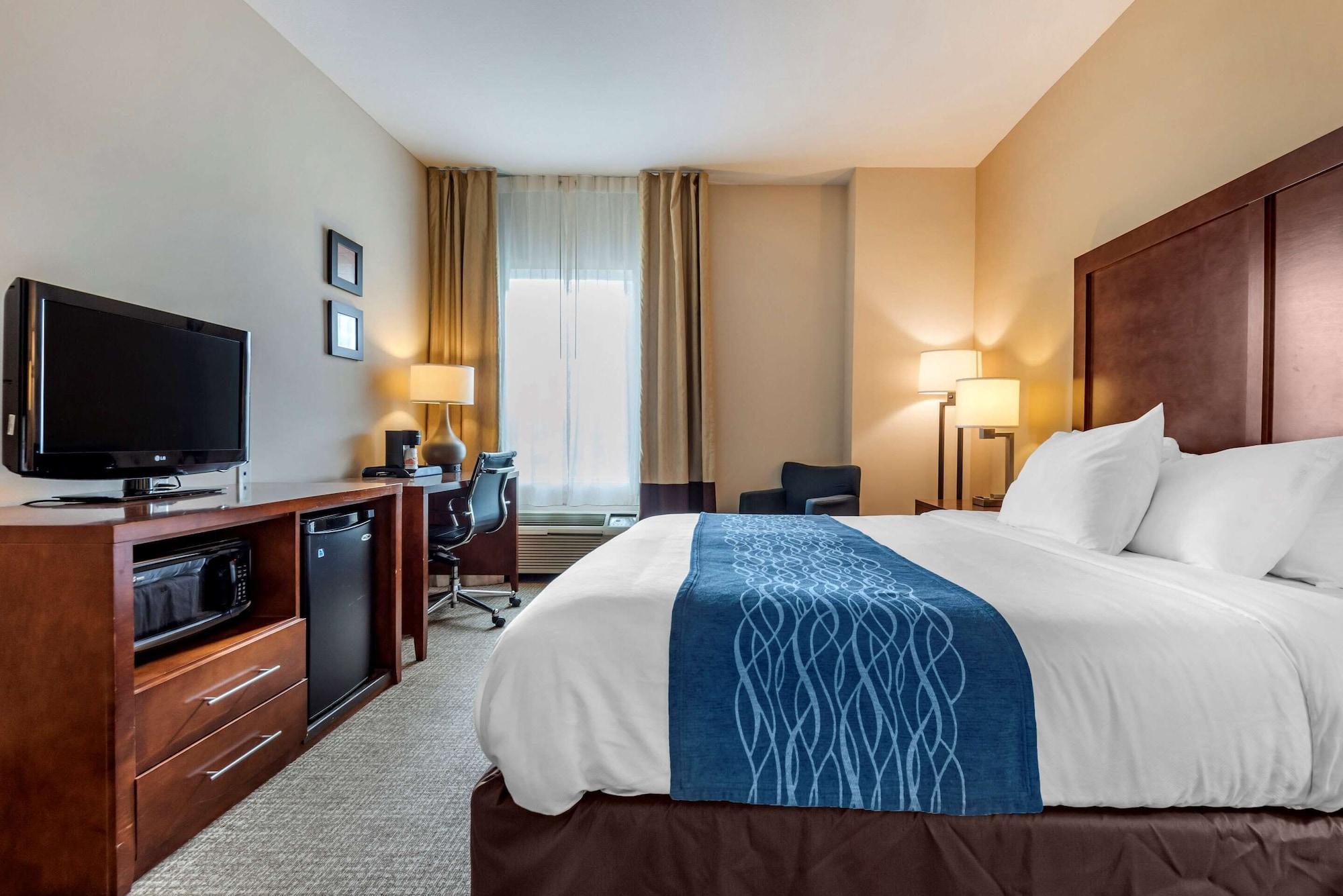 Comfort Inn Apalachin - Binghamton W Route 17 Dış mekan fotoğraf