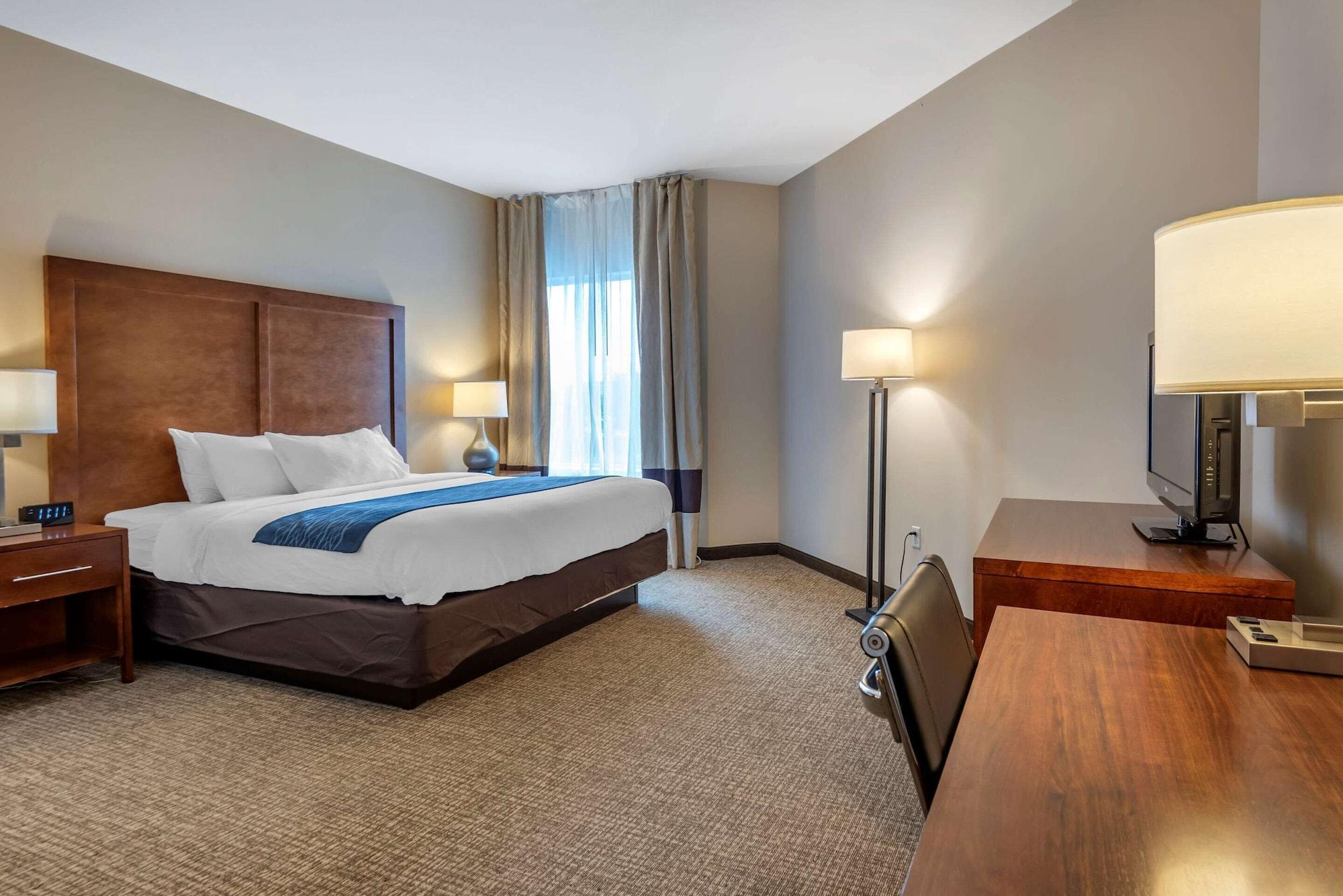 Comfort Inn Apalachin - Binghamton W Route 17 Dış mekan fotoğraf