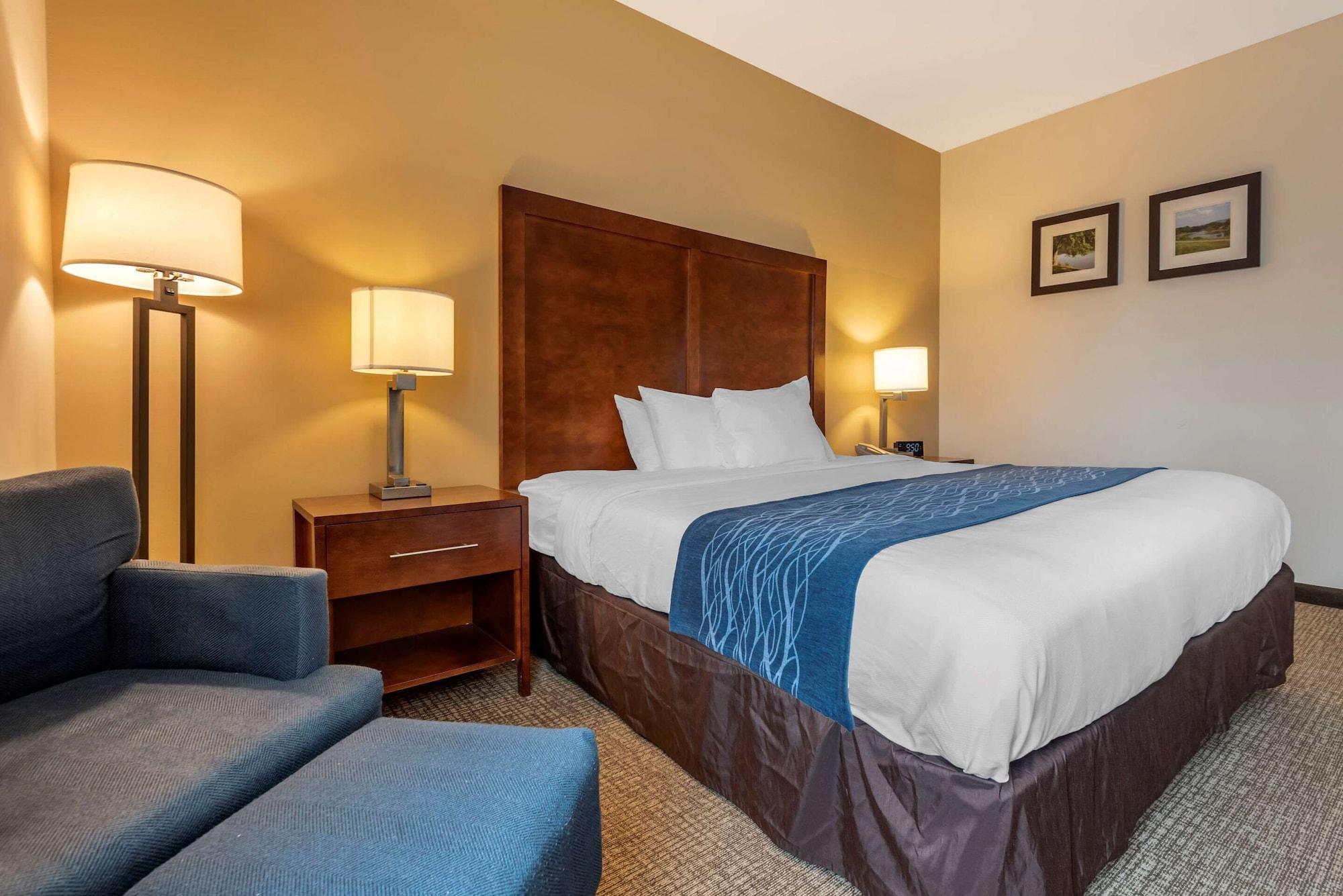 Comfort Inn Apalachin - Binghamton W Route 17 Dış mekan fotoğraf
