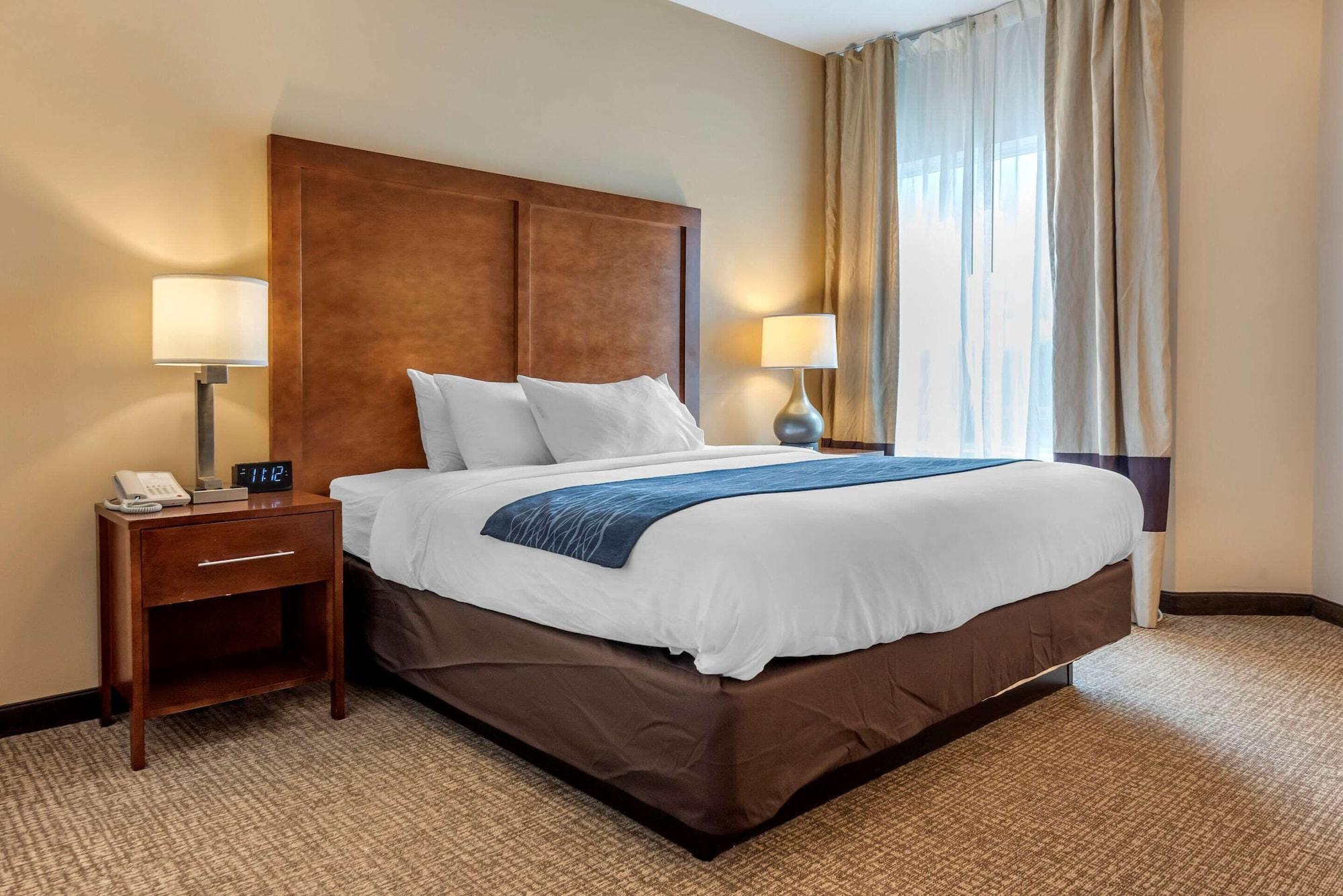 Comfort Inn Apalachin - Binghamton W Route 17 Dış mekan fotoğraf
