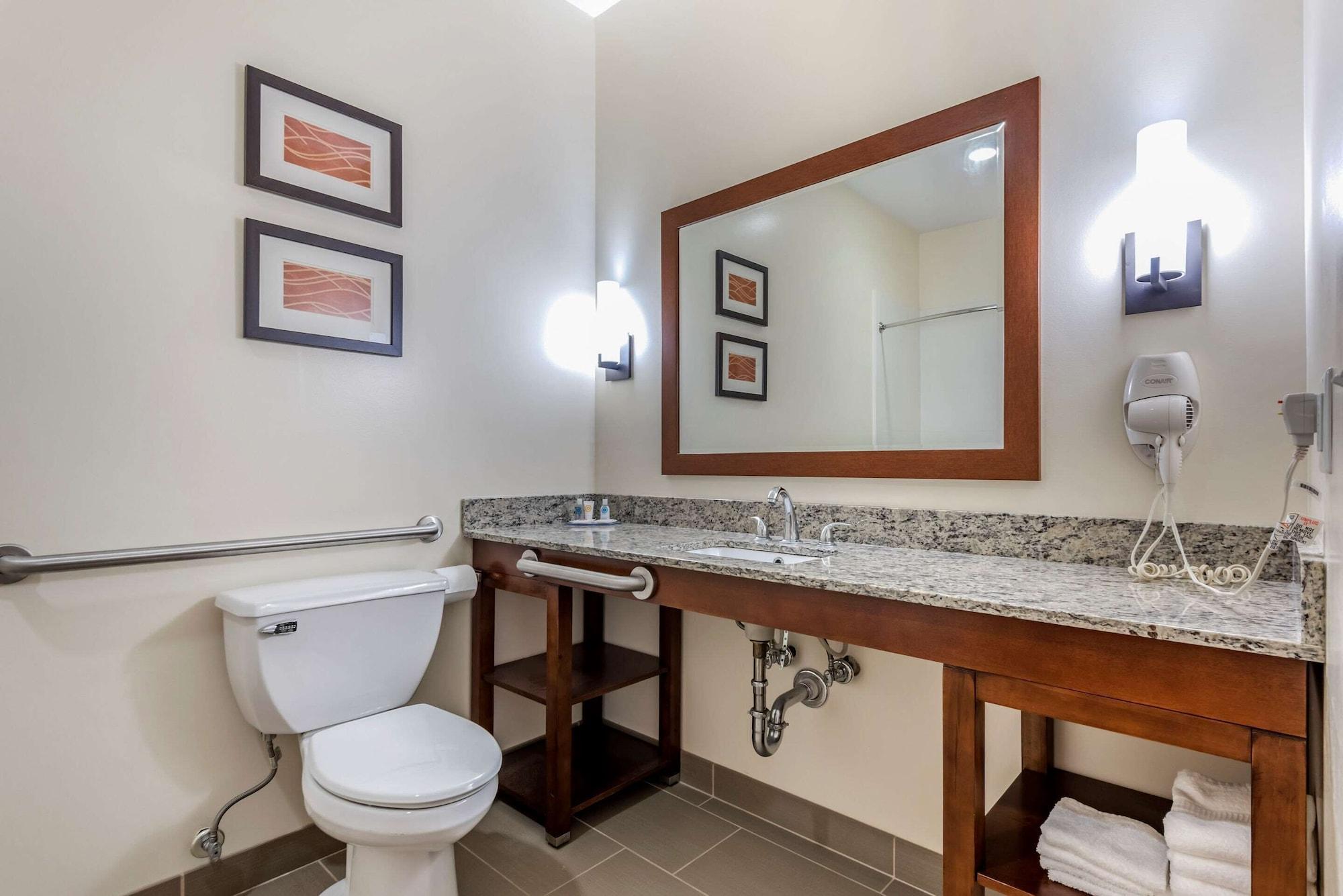 Comfort Inn Apalachin - Binghamton W Route 17 Dış mekan fotoğraf