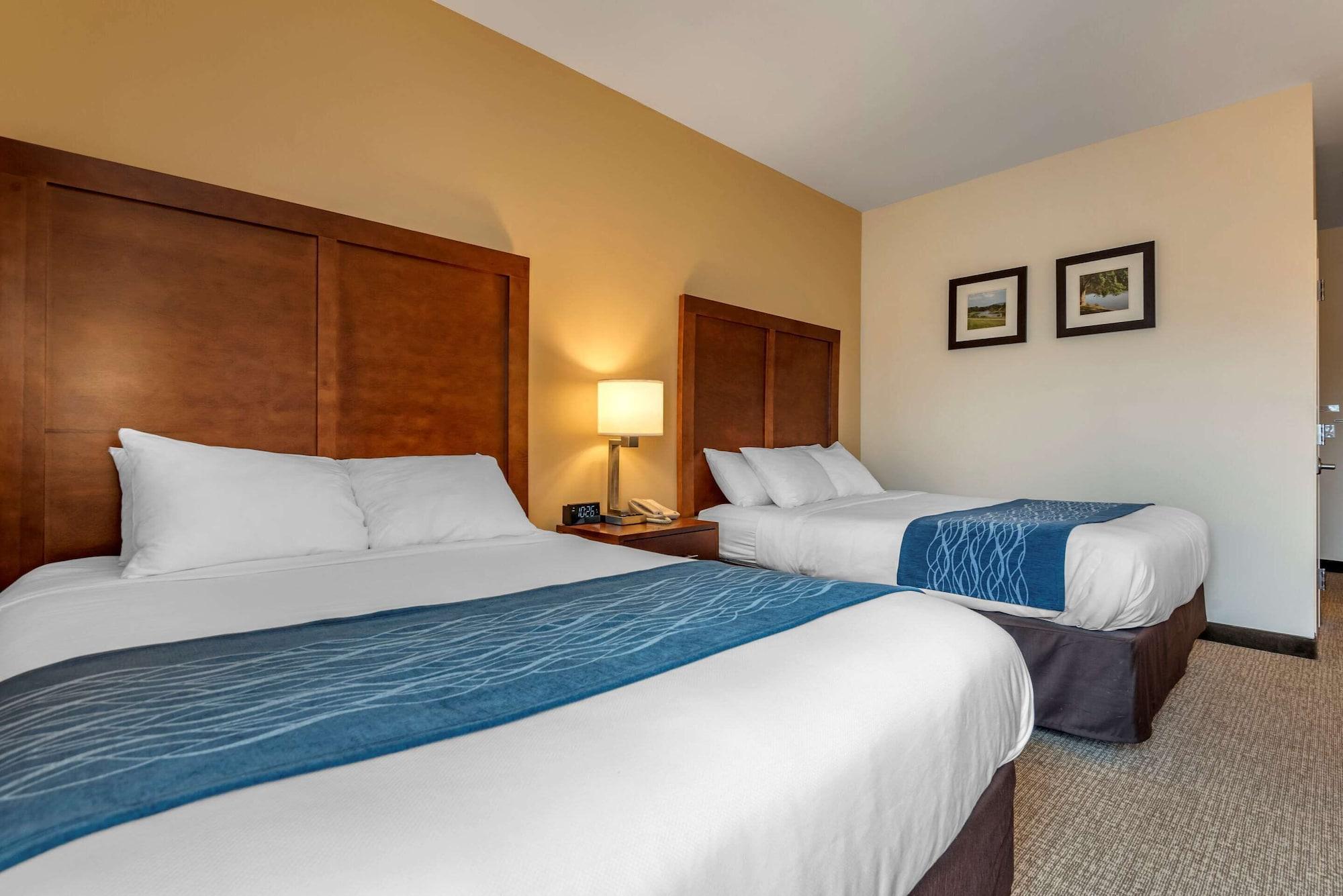 Comfort Inn Apalachin - Binghamton W Route 17 Dış mekan fotoğraf