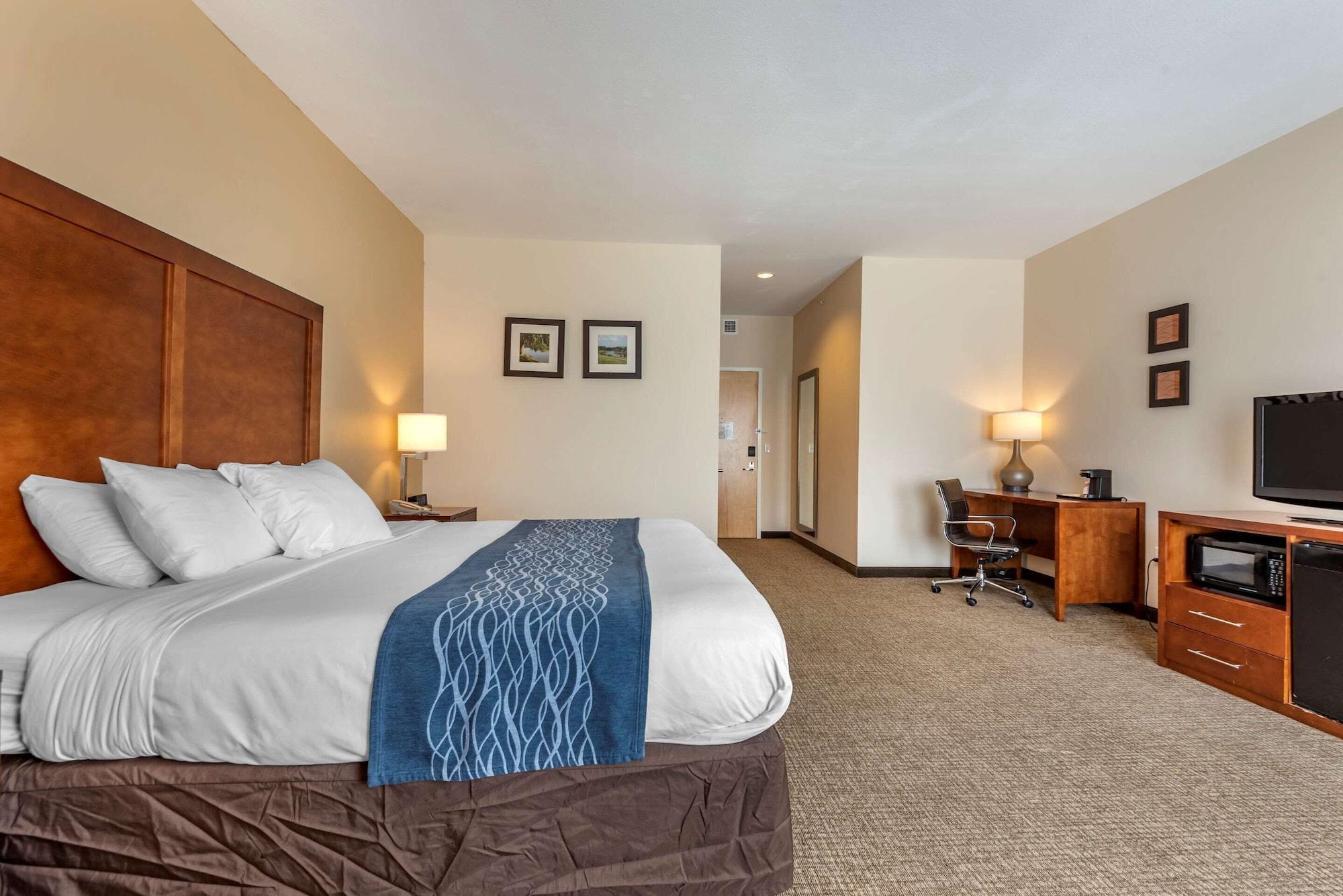 Comfort Inn Apalachin - Binghamton W Route 17 Dış mekan fotoğraf