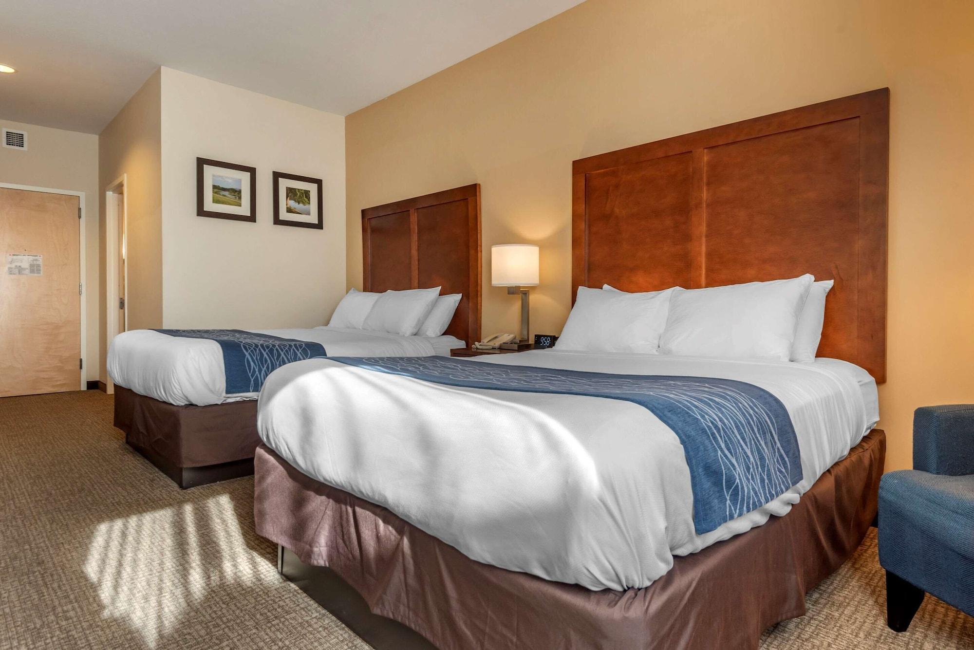 Comfort Inn Apalachin - Binghamton W Route 17 Dış mekan fotoğraf
