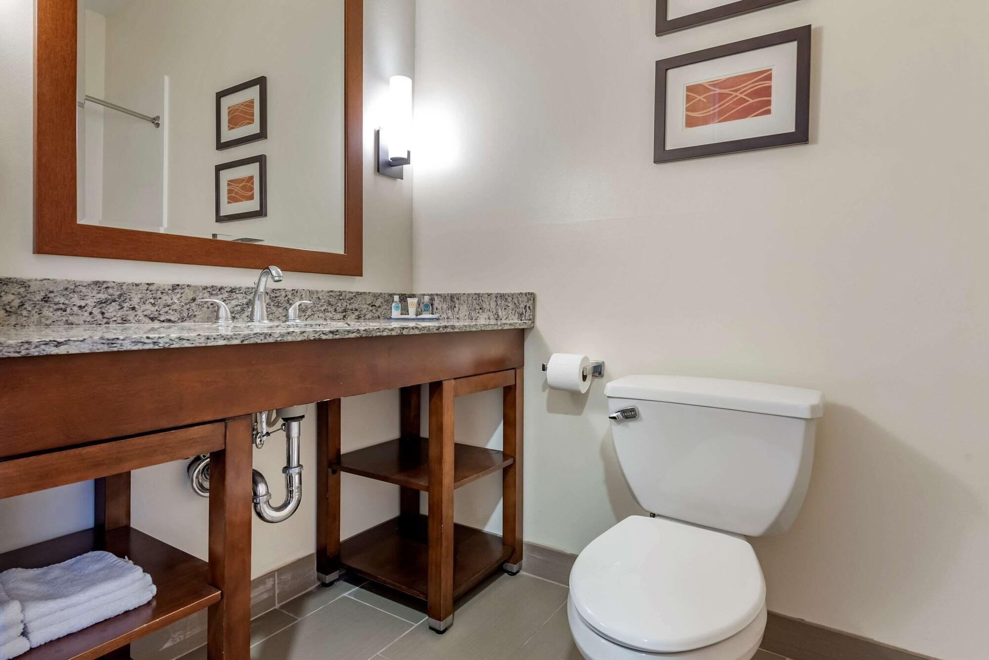 Comfort Inn Apalachin - Binghamton W Route 17 Dış mekan fotoğraf