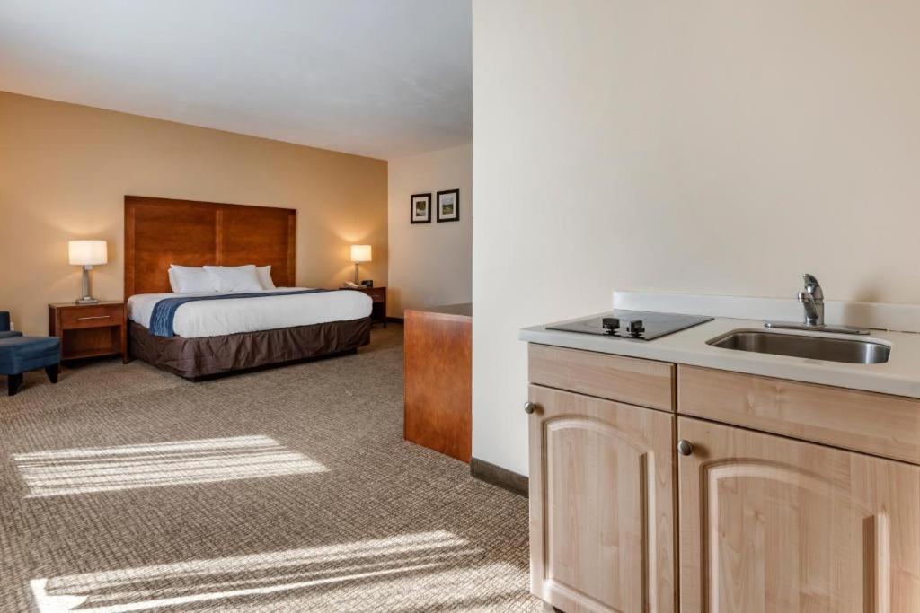 Comfort Inn Apalachin - Binghamton W Route 17 Dış mekan fotoğraf