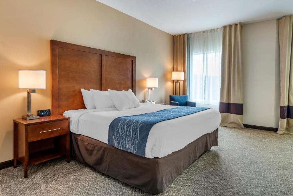 Comfort Inn Apalachin - Binghamton W Route 17 Dış mekan fotoğraf