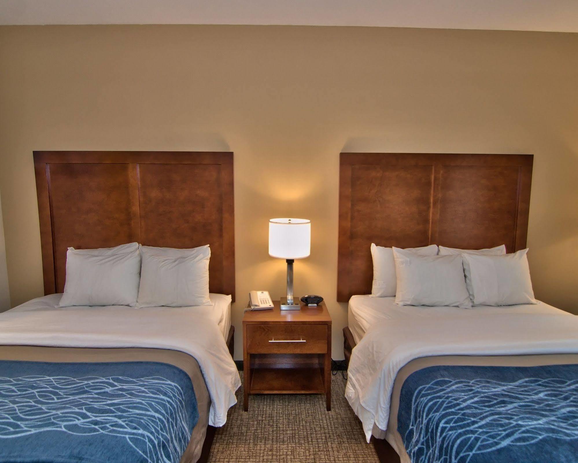 Comfort Inn Apalachin - Binghamton W Route 17 Dış mekan fotoğraf